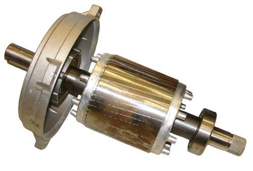 rotor_of_induction_motor_magnetica.jpg