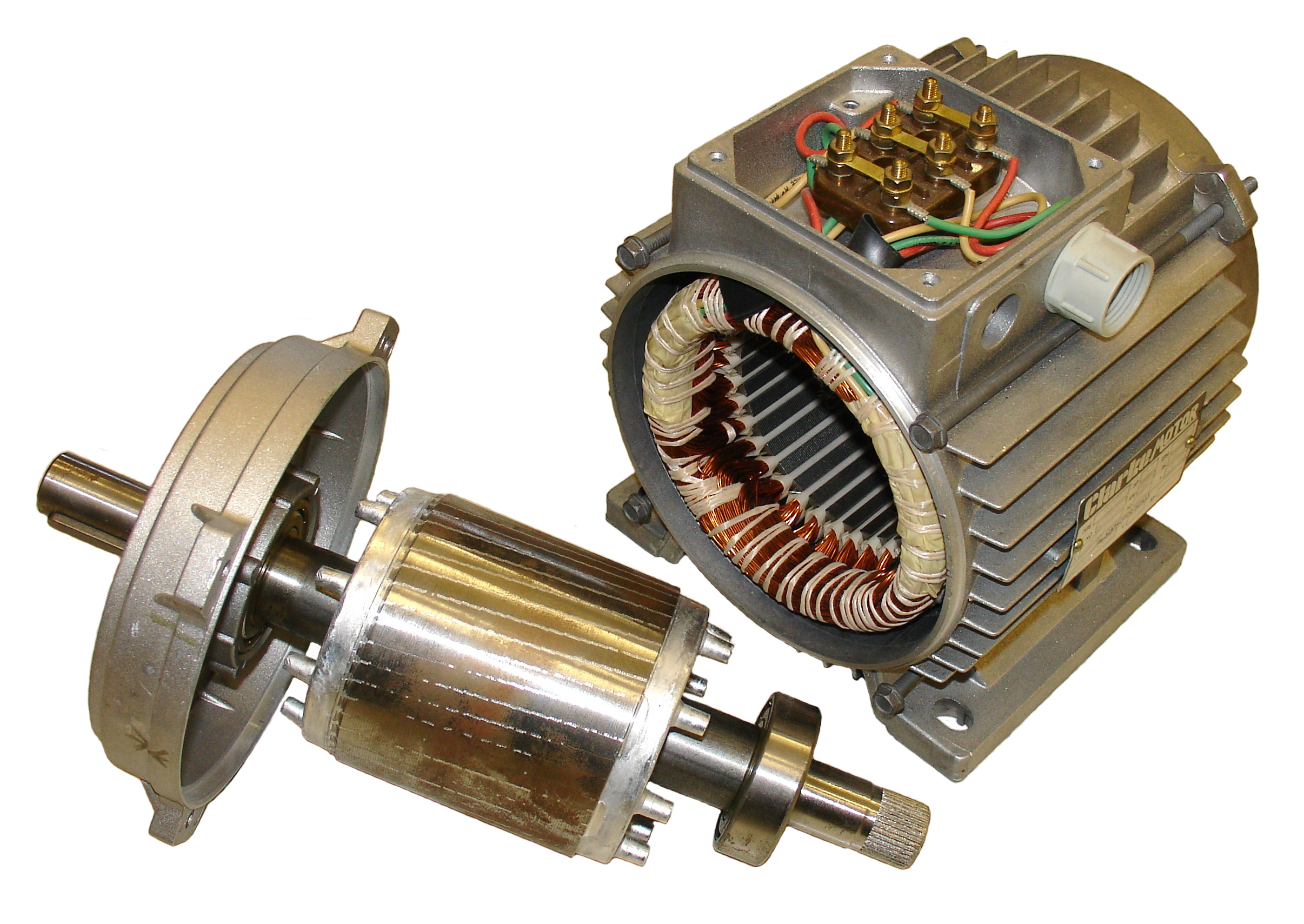 stator_and_rotor_of_induction_motor_magnetica.jpg